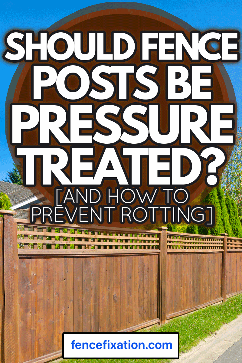 Long wooden cedar fence on the empty street, Should Fence Posts Be Pressure Treated? [And How To Prevent Rotting]