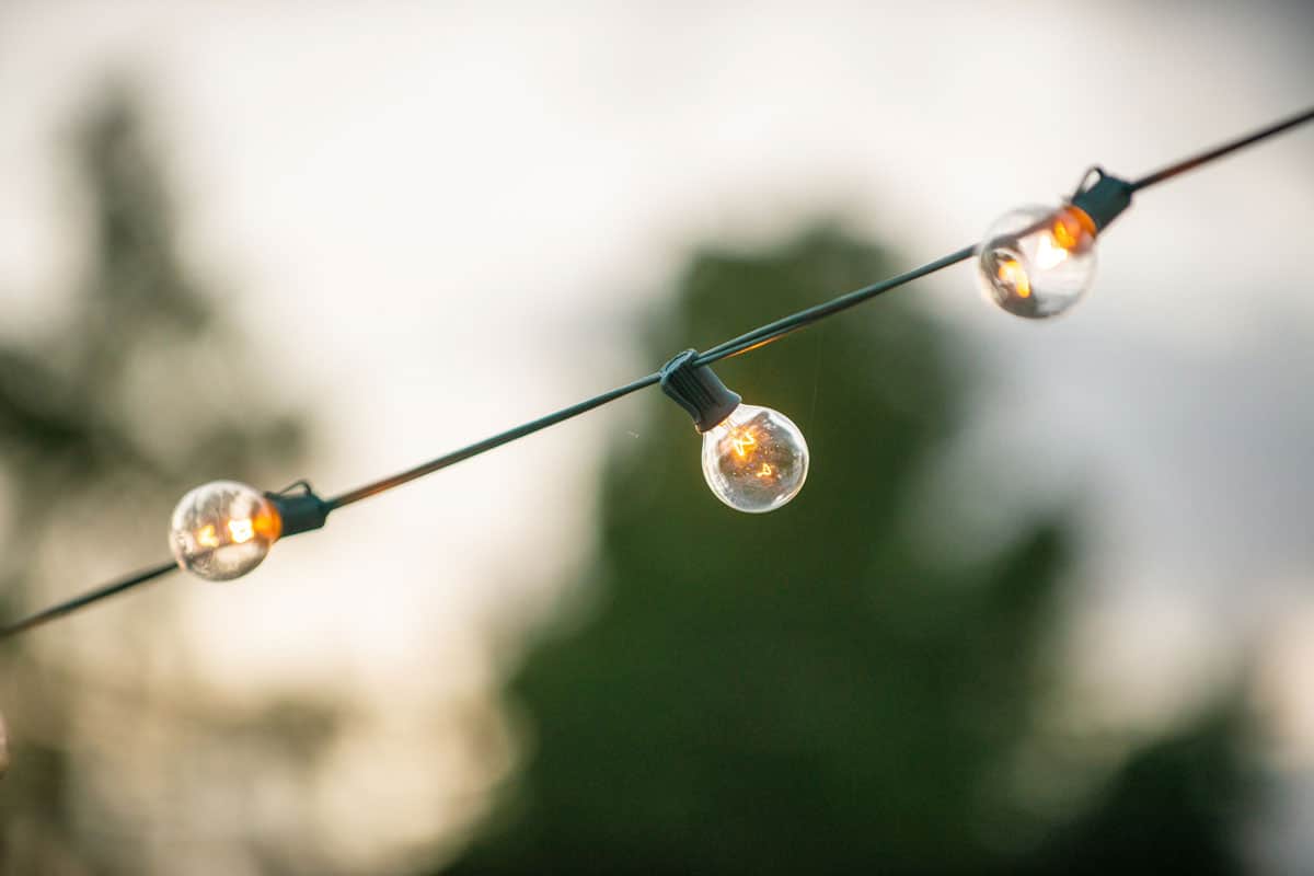 Three Warm ligh bulbs on a string hanging outside on green wire