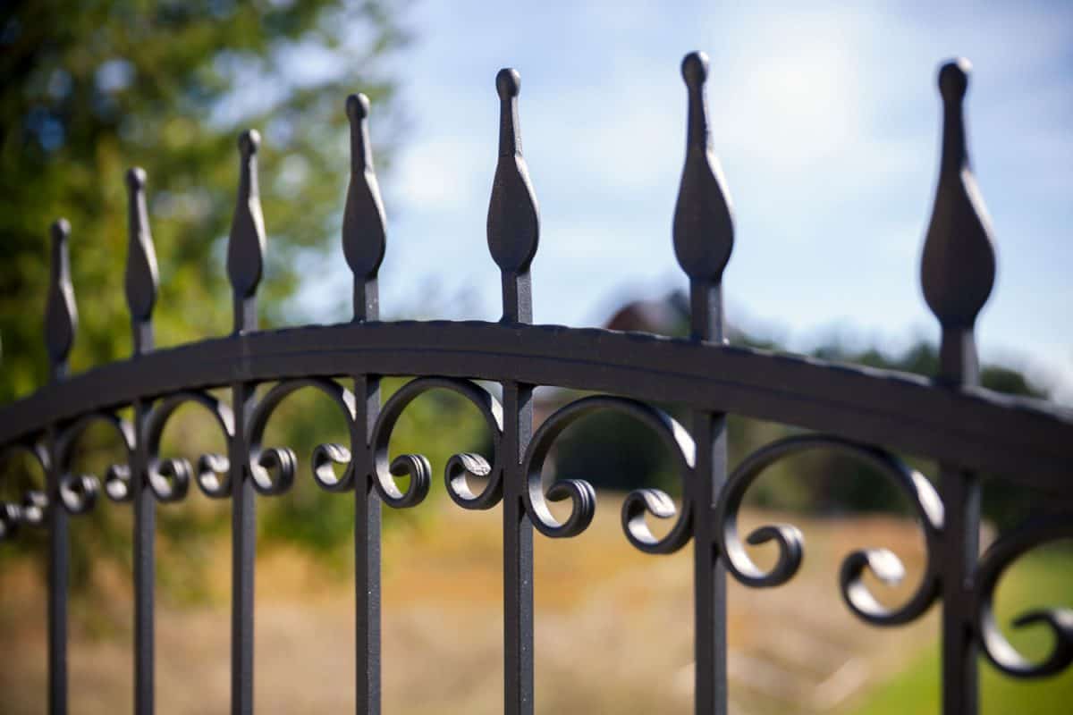 Up close and detailed photo of wrought iron fence