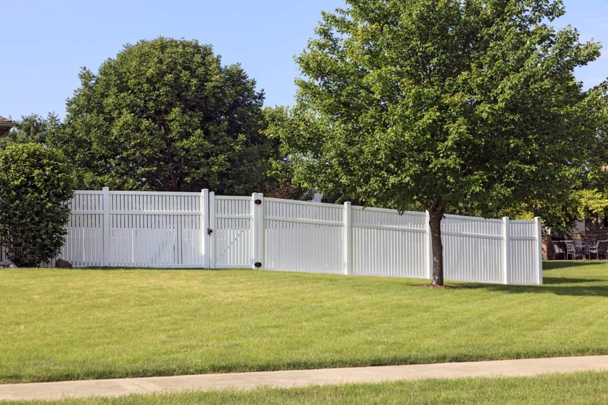 White vinyl fence surrounding a yard with trees and grass in the scene

