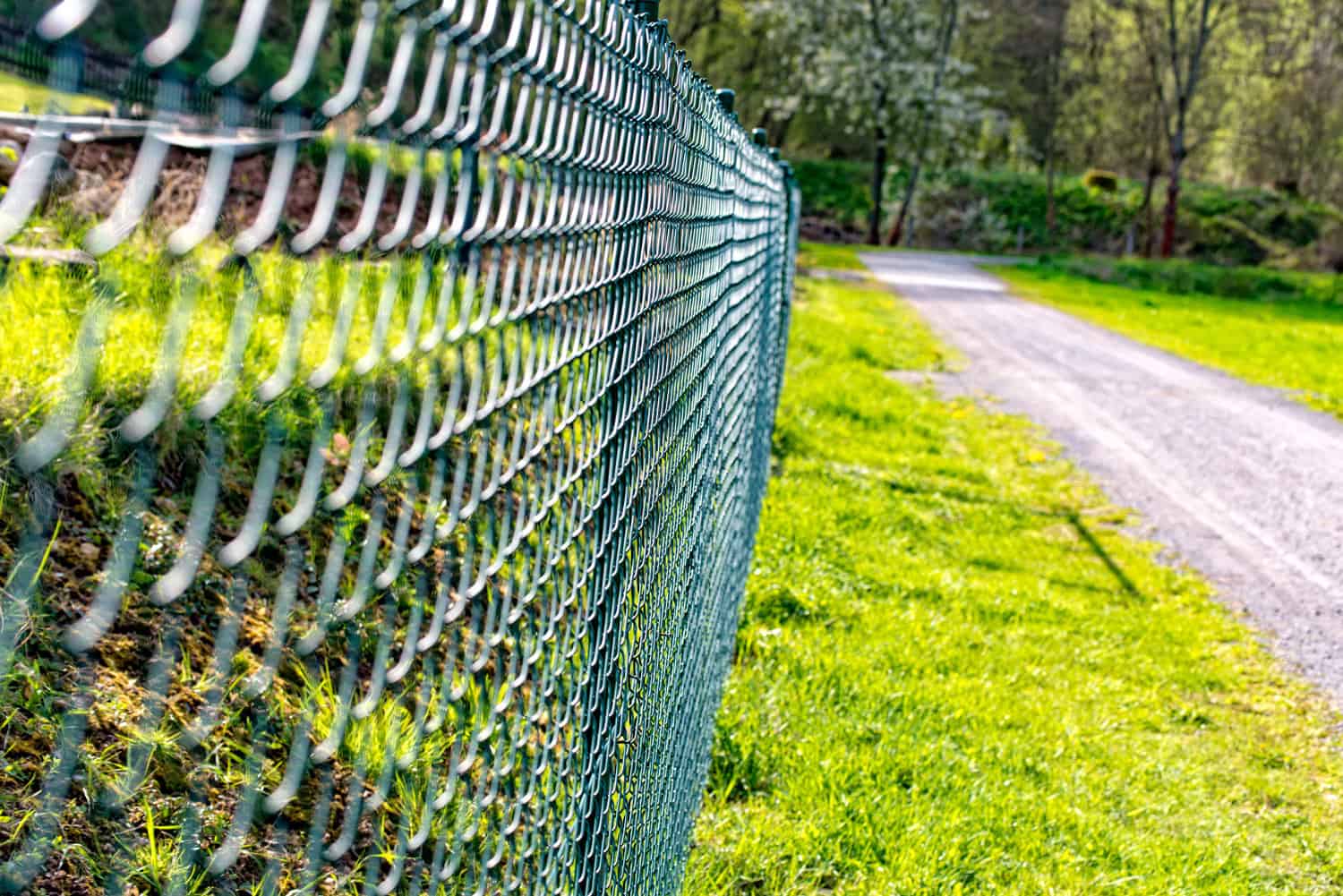 Wire mesh fence fenced plot