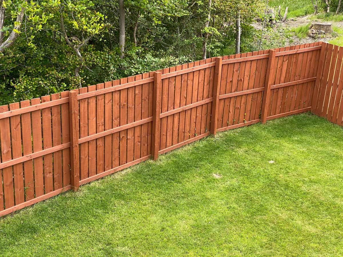 Wooden garden fence coated with medium oak colour paint