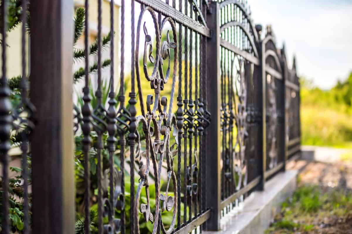 Wrought iron fence with a fancy design