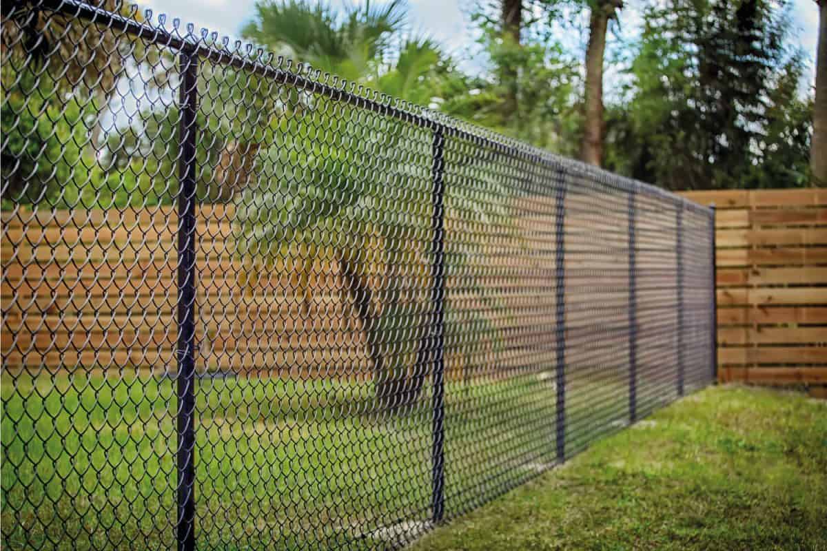 chain link fence painted in black