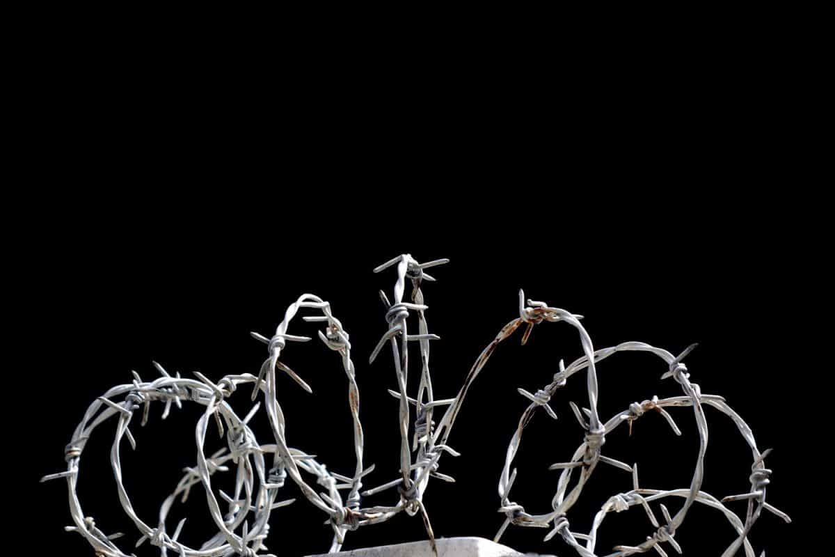 close up barbed wire fence over black background

