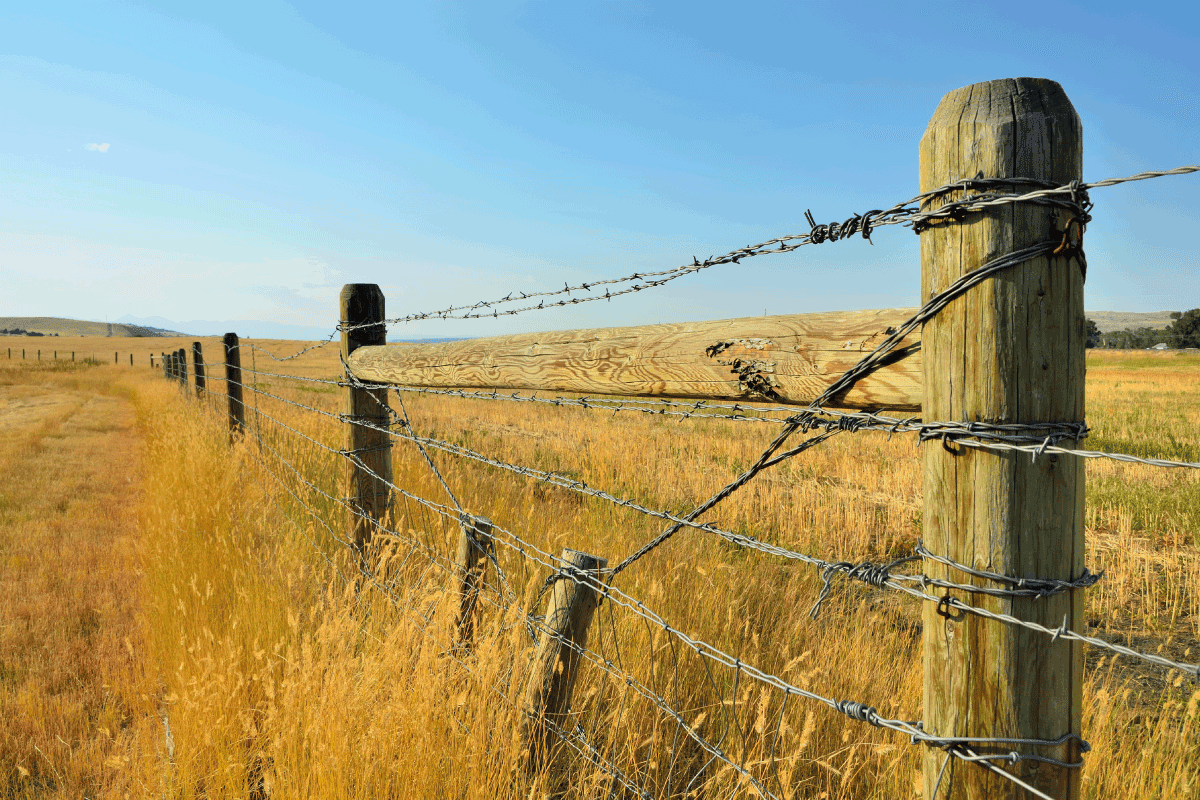 open landscape with barbed wire fence. Can You Put Barbed Wire On A Residential Fence