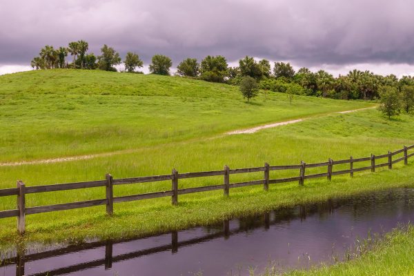 A grass meadow and a small fence next to a small pond, How Long Does Split Rail Fence Last? [And How To Prolong Its Life]