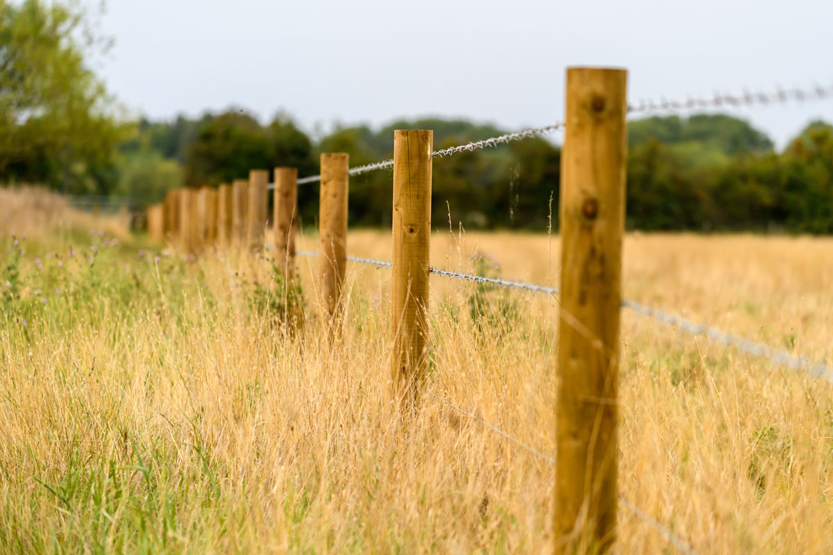 A long line of wooden fence posts with barb wires