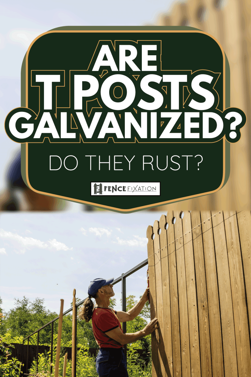 A man builds a wooden fence with galvanized posts. Are T Posts Galvanized [Do They Rust]