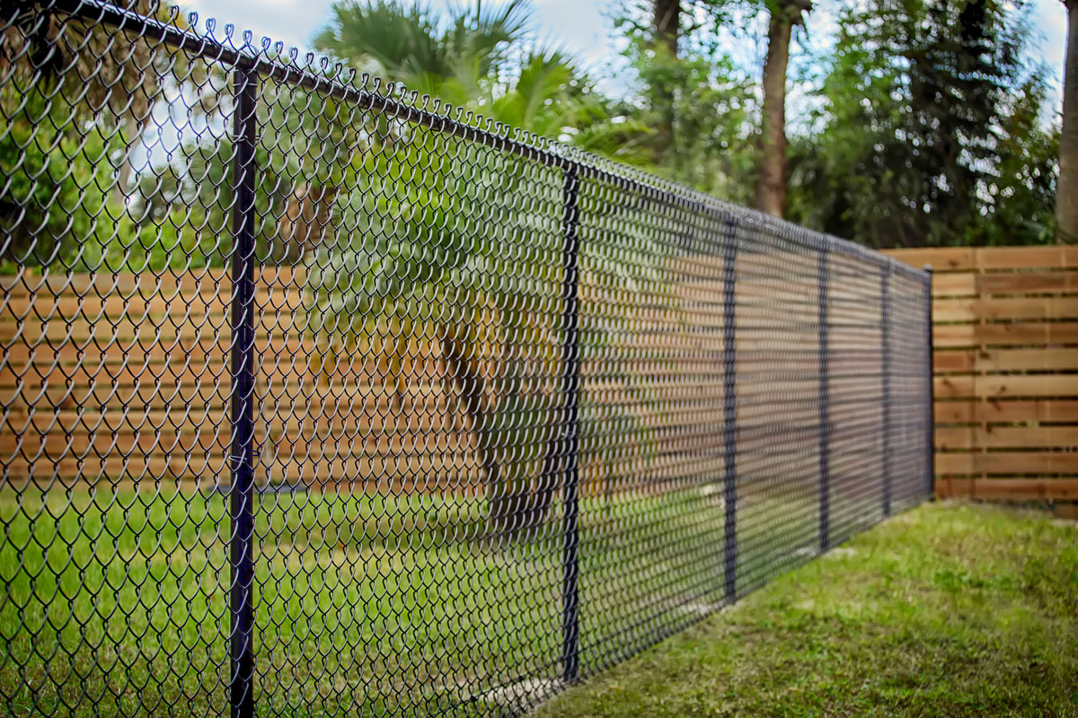 Black Chain Link Fence at the backyard