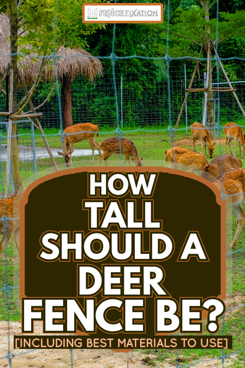 Brown deer in green plastic mesh fence - How Tall Should A Deer Fence Be? [Incld Best Materials To Use]