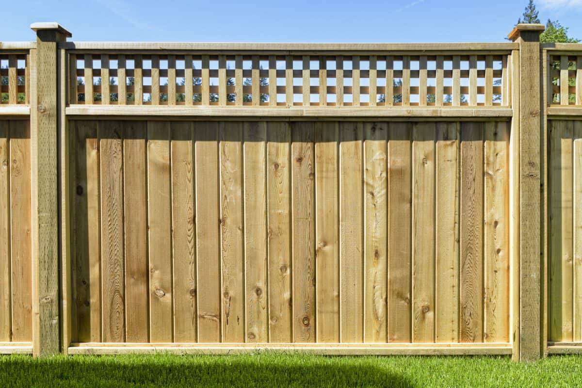 Cedar Wood Fence Panel
