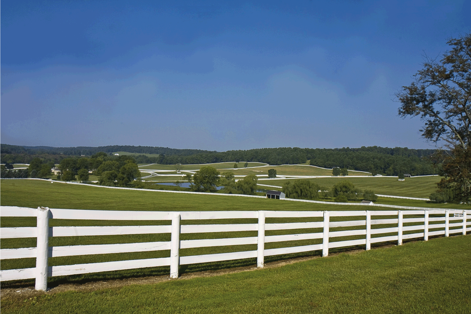 Country landscape of horse farm with split rail fences