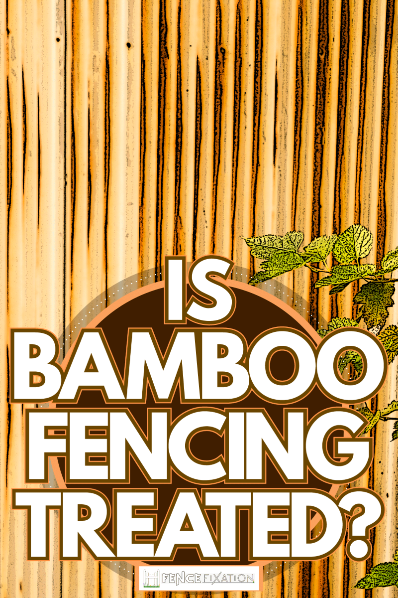 A tall bamboo fence with a small plant on the side, Is Bamboo Fencing Treated?