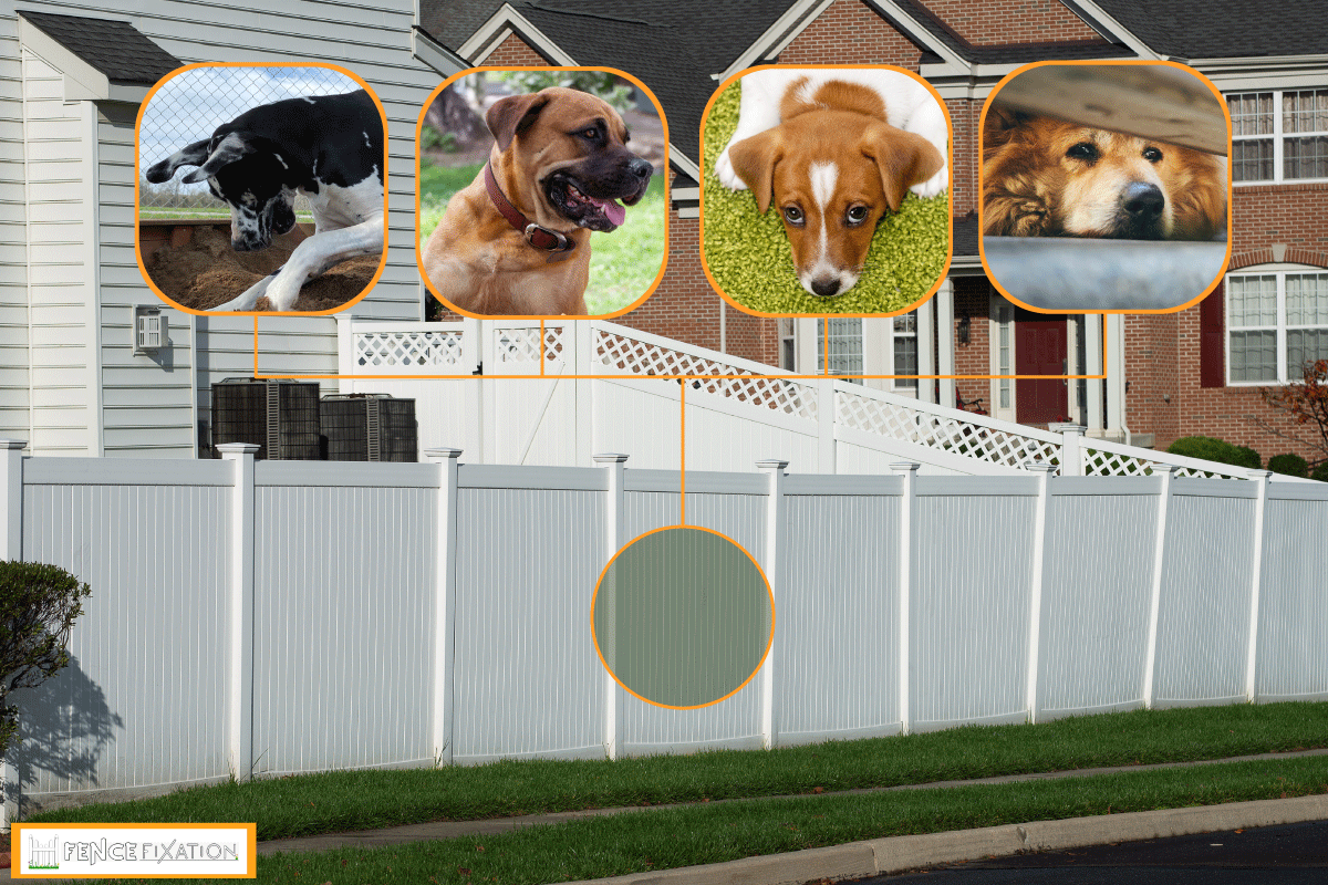 White vinyl fence in residential neighborhood home, Is Vinyl Fencing Good For Dogs: Reviewing The Pros & Cons For Your Pet's Security