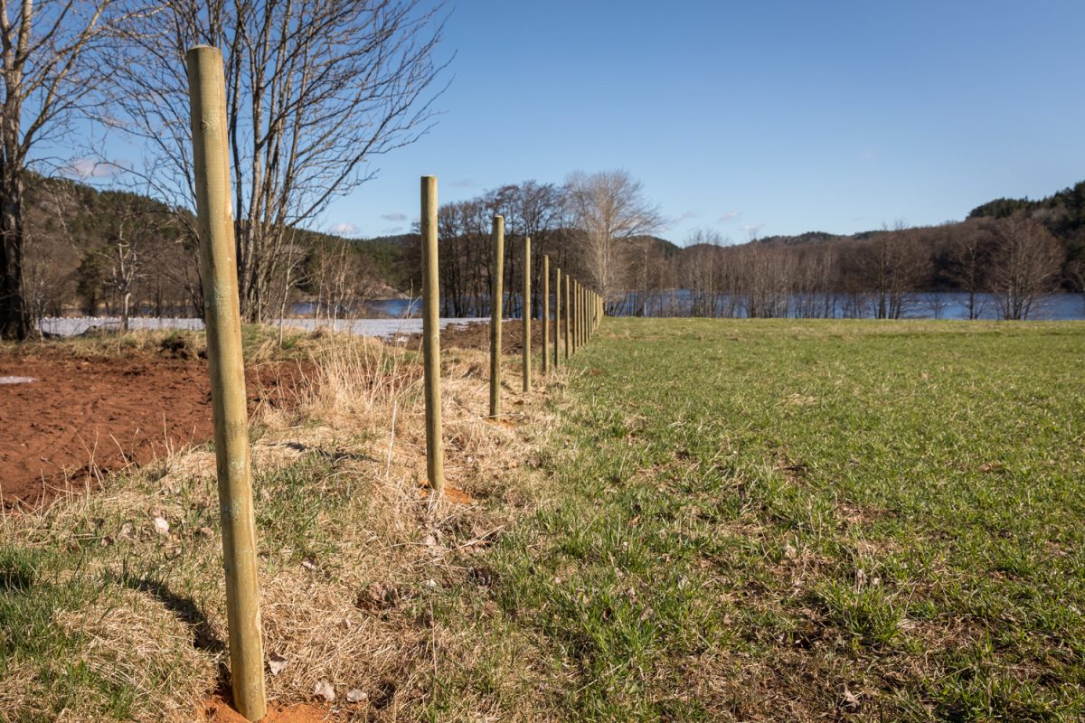 New wooden fence posts on a field. Landscape and blue sky in the background.
