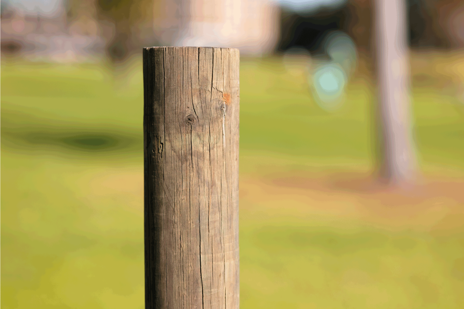 Part of a wooden post with grass behind