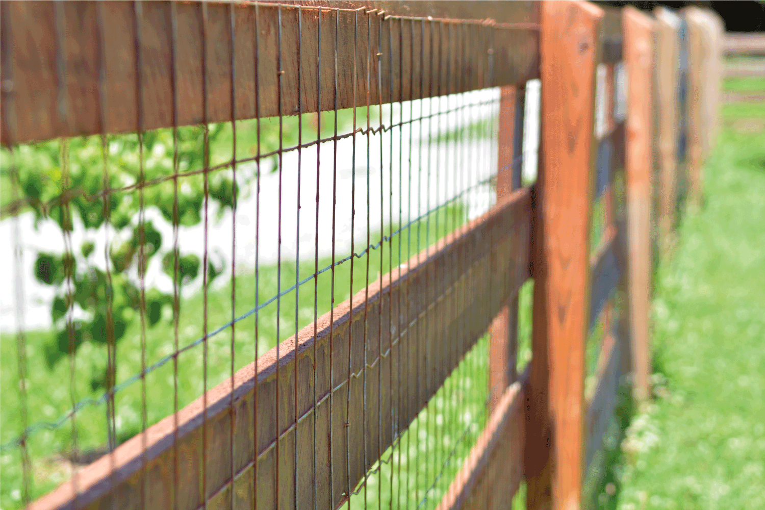 Split Rail Fence with attached wire material for added security
