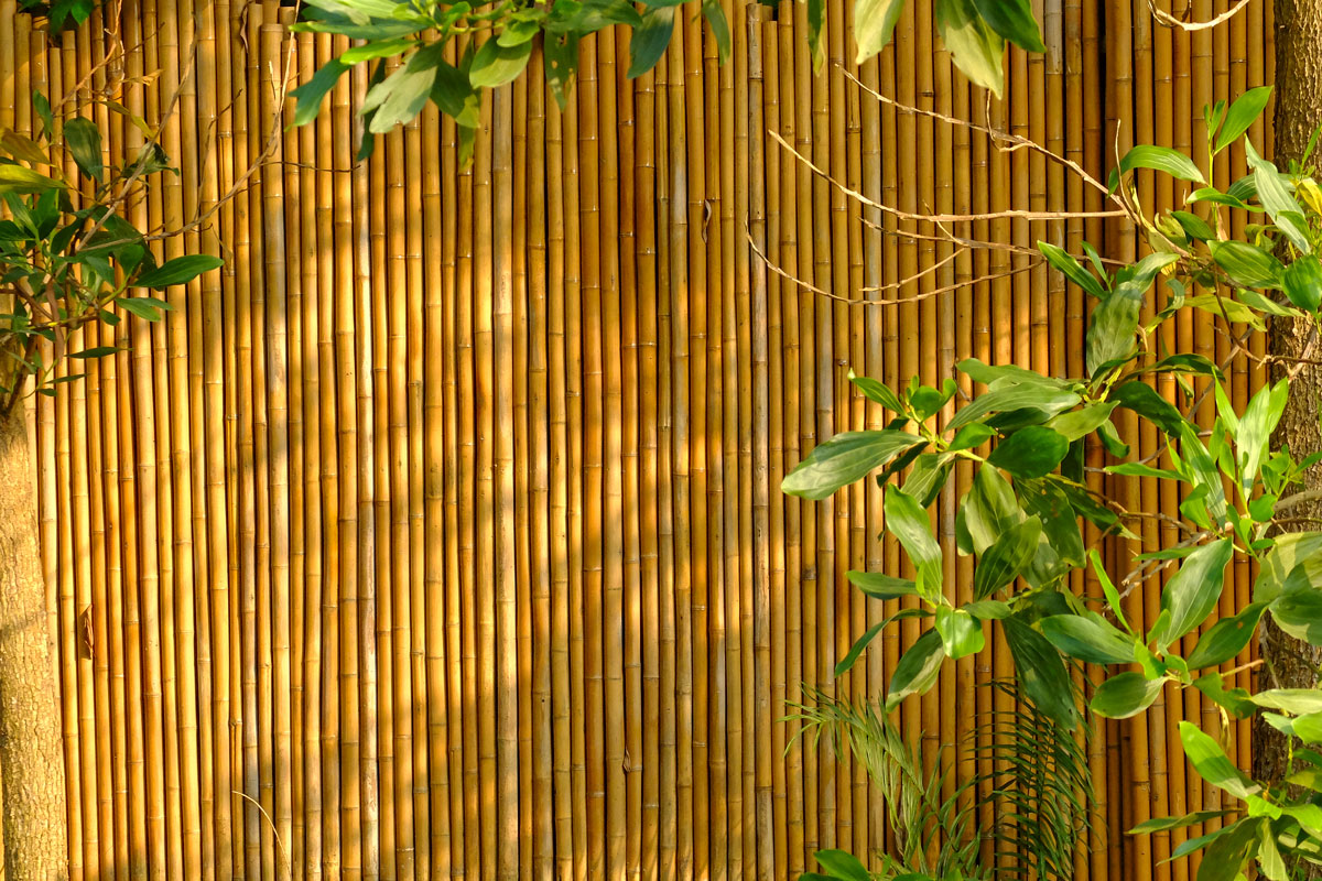 Tall golden textured bamboo fence