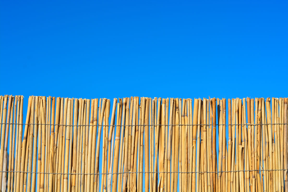 Thin bamboo fence photographed on a sunny day