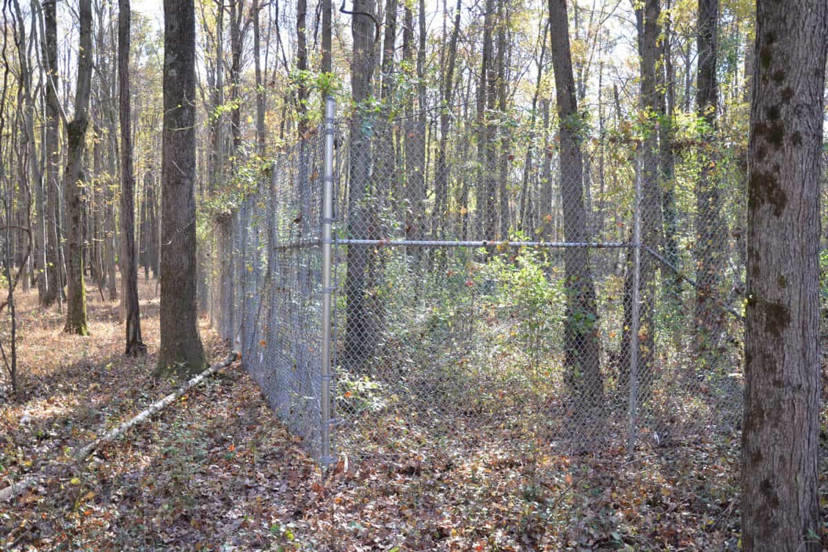 a metal chain link fence in the forest to keep deer out
